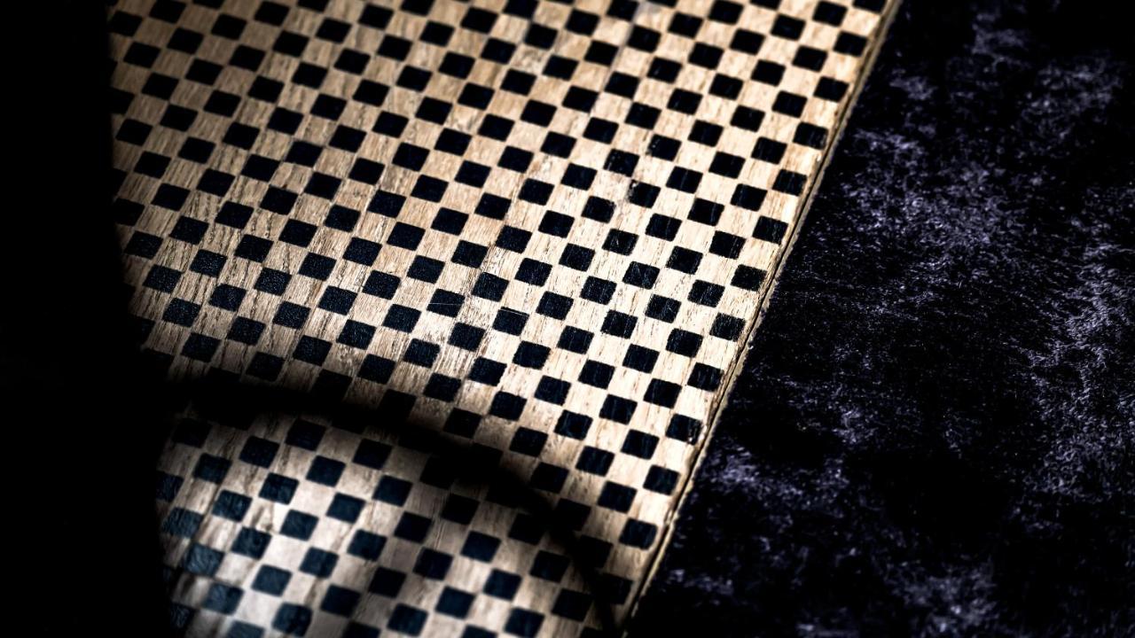 ムッシュー ジョルジュ ホテル&スパ シャンゼリゼ パリ エクステリア 写真 A close-up of a piece of perforated leather
